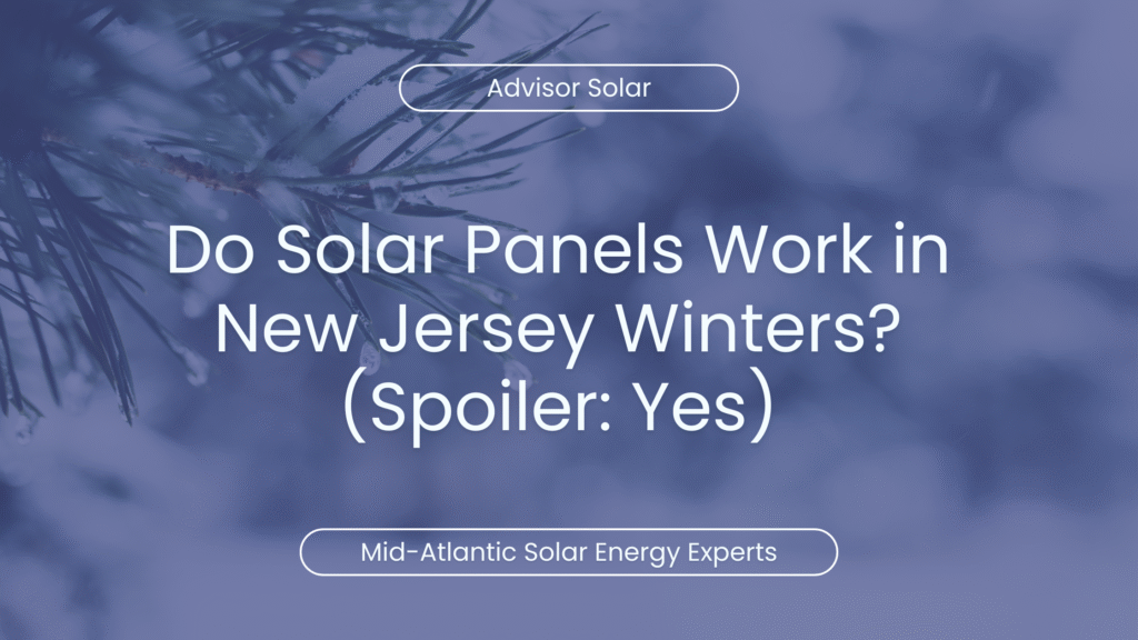 solar winter new jersey
