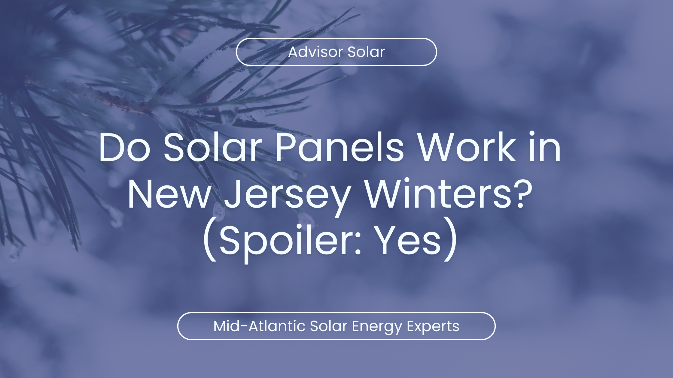 solar winter new jersey